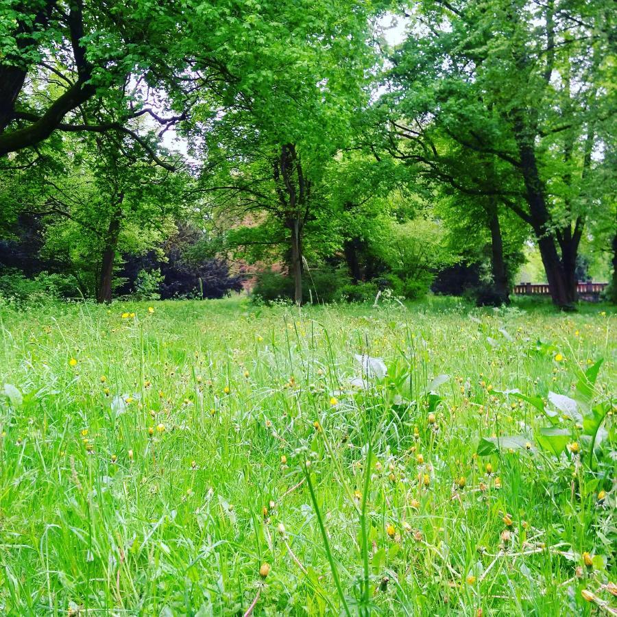 Kavaliershaus Krumke - Gaestehaus Im Schlosspark - Schluesselbox - Kein Tv Ξενοδοχείο Εξωτερικό φωτογραφία